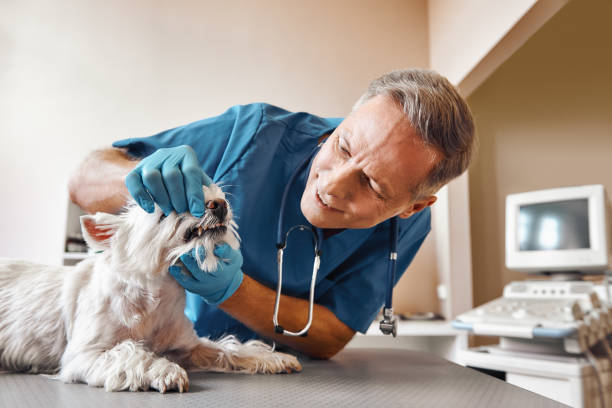 Best Urgent Tooth Repair  in Port Sulphur, LA